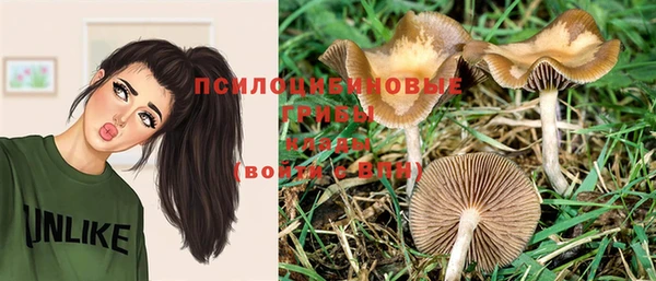 MESCALINE Алзамай