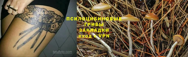спиды Алексин