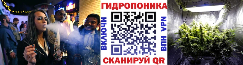 купить  цена  OMG tor  Шишки марихуана план  Кирс 